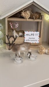 Wichteltür Streiche mit Rentiere Schleich1