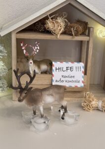 Wichteltür Streiche mit Rentiere Schleich1