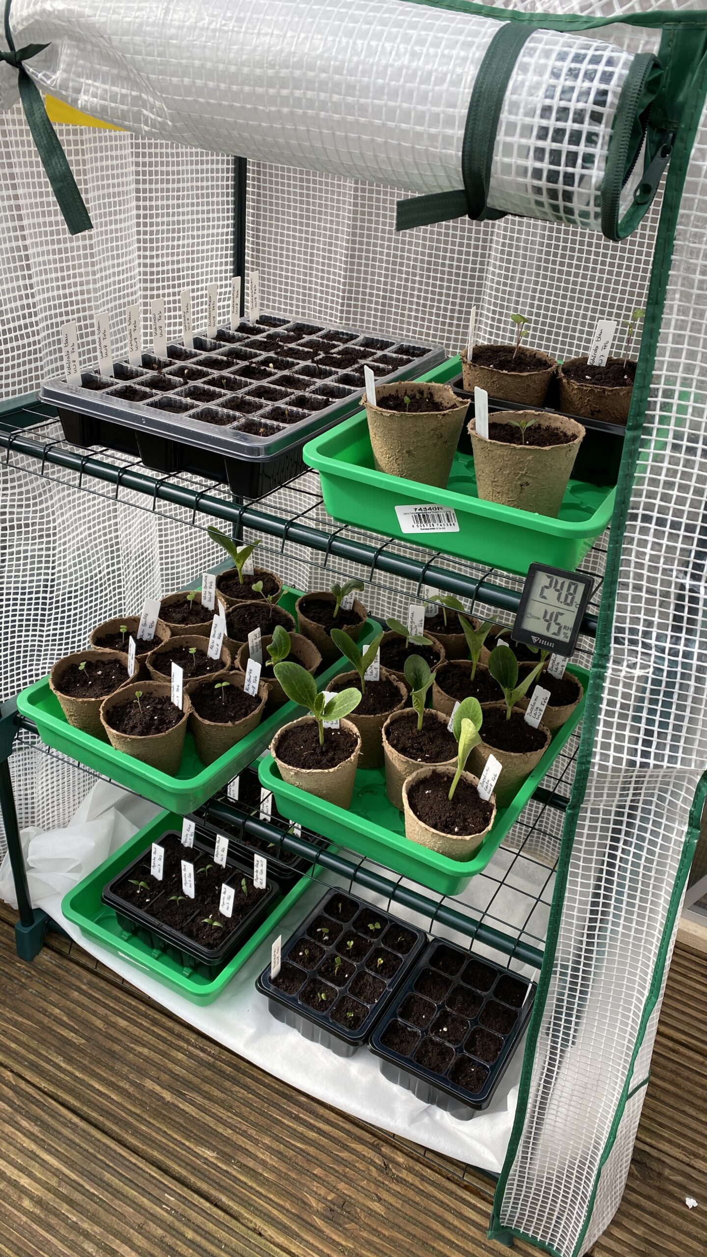 Gärtnern in Kübeln Balkon – Anzucht für Anfänger