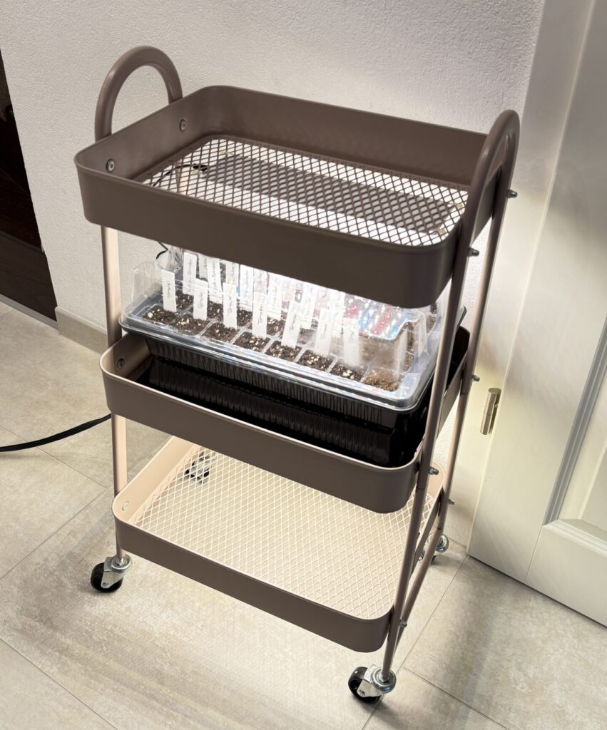 Pflanzwagen für Gemüsepflanzen Anzucht