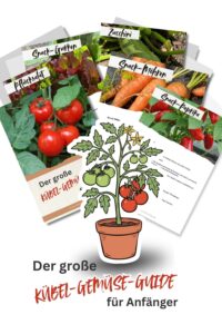 Read more about the article Kübel-Gemüse-Guide für Anfänger – Balkon & Terrasse + PDF zum Ausdrucken