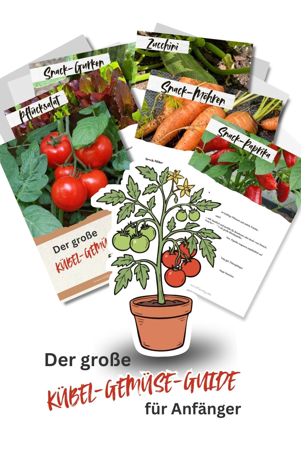 You are currently viewing Kübel-Gemüse-Guide für Anfänger – Balkon & Terrasse + PDF zum Ausdrucken