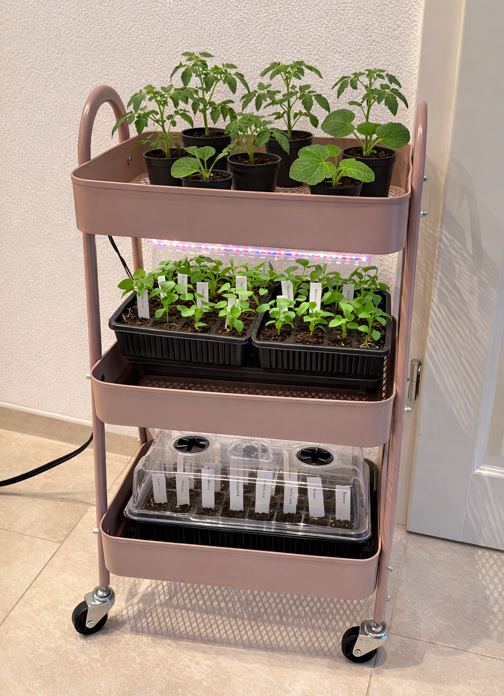 Pflanzwagen für Gemüsepflanzen Anzucht