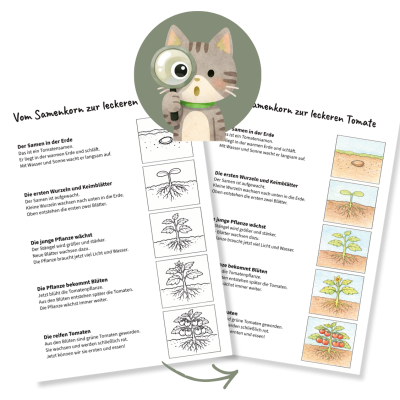 Grafik zu Arbeitsblatt